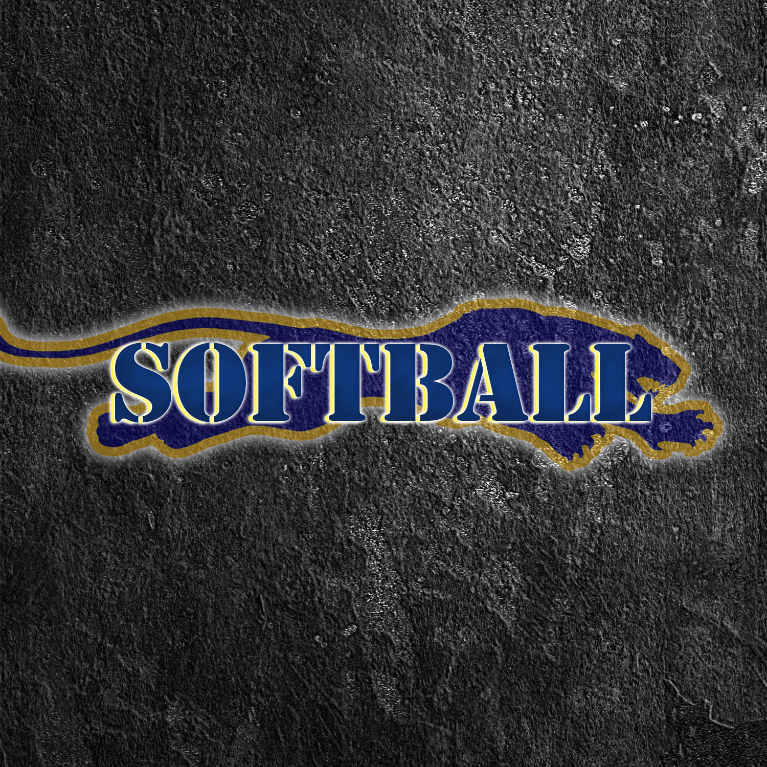 Softball WP